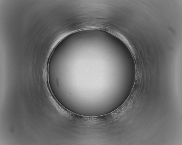 X0000112170811200908211425