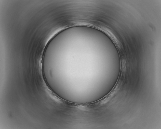 X0000112170814200908211425