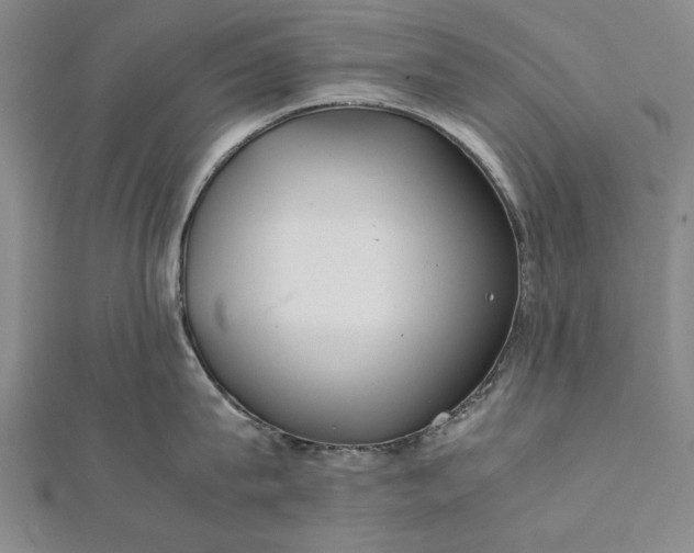 X0000112170815200908211425