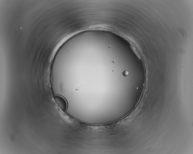 X0000112170816200908211425