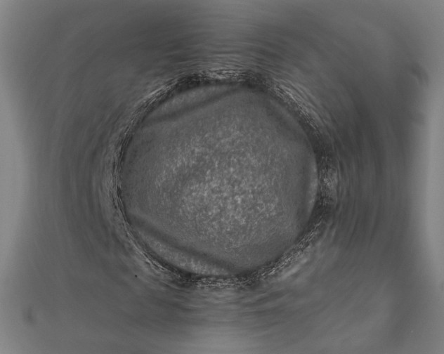 X0000112170817200908211424