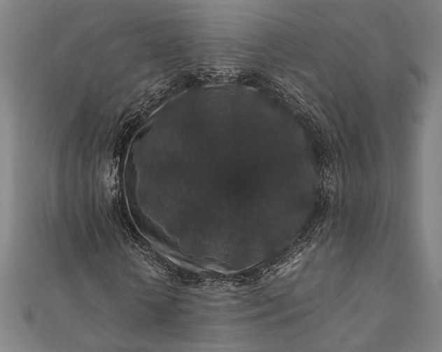 X0000112170818200908211424