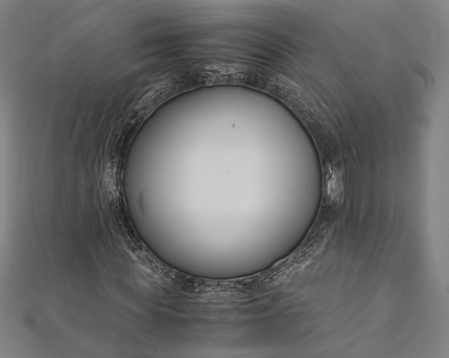 X0000112170819200908211424