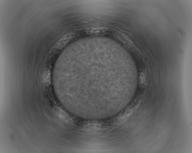 X0000112170820200908211424