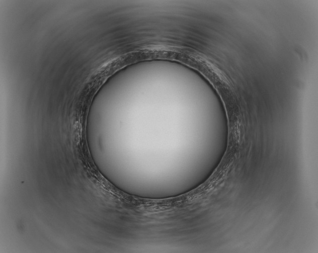 X0000112170821200908211424