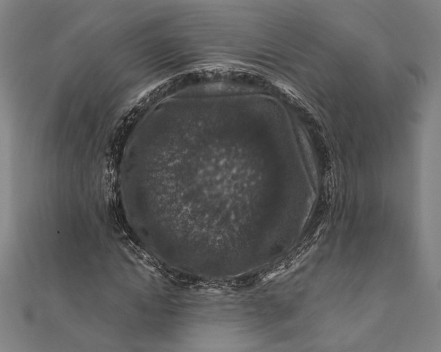 X0000112170822200908211424