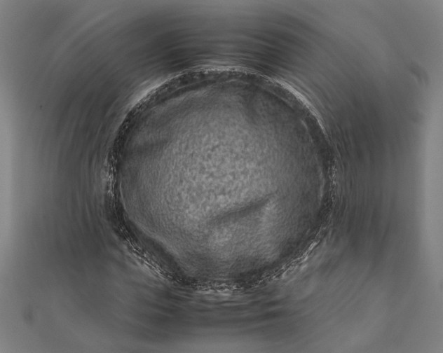 X0000112170823200908211424