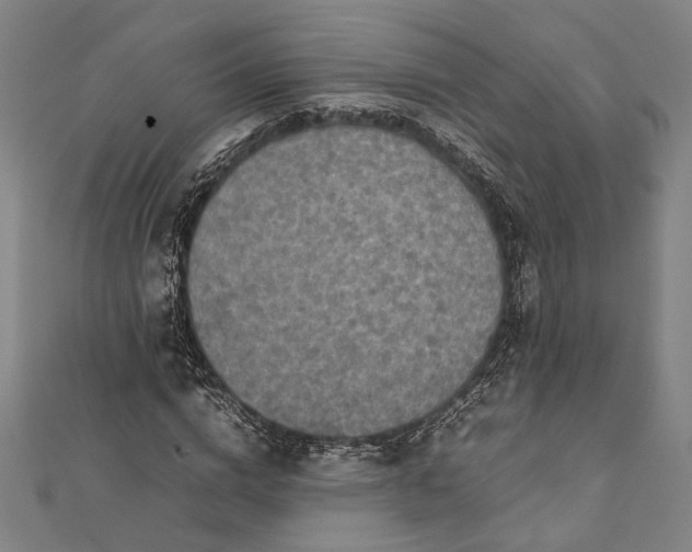 X0000112170824200908211424