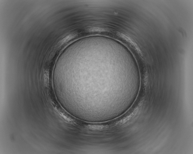 X0000112170825200908211424