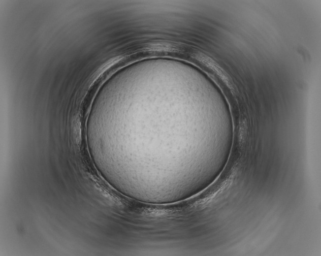 X0000112170829200908211424