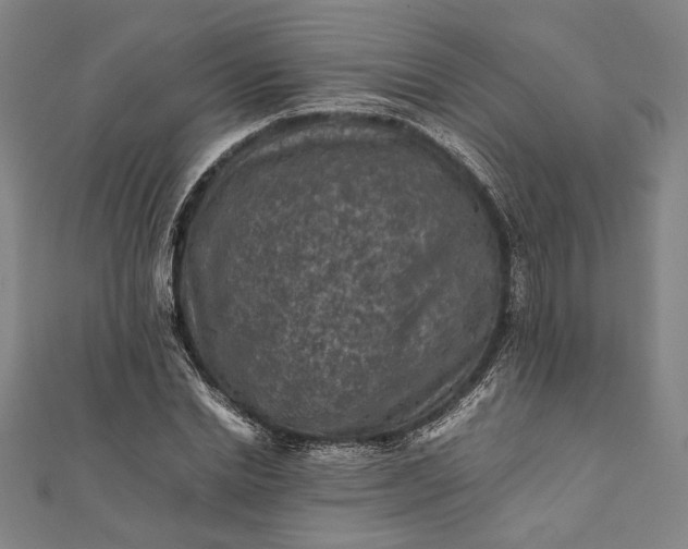 X0000112170830200908211424