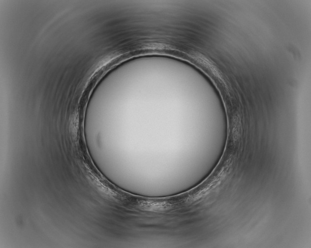 X0000112170831200908211424