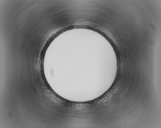 X0000112170832200908211424