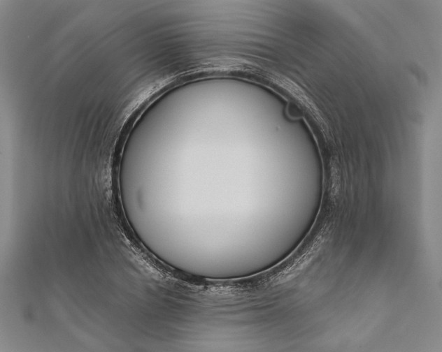 X0000112170834200908211424