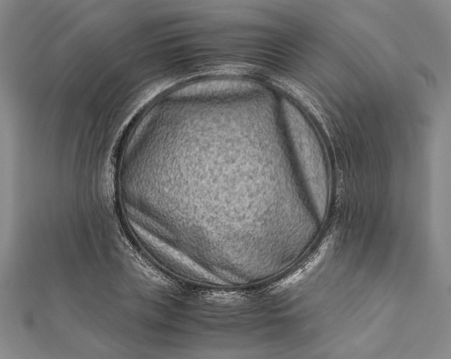 X0000112170835200908211424