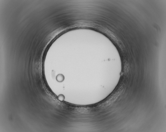 X0000112170836200908211424