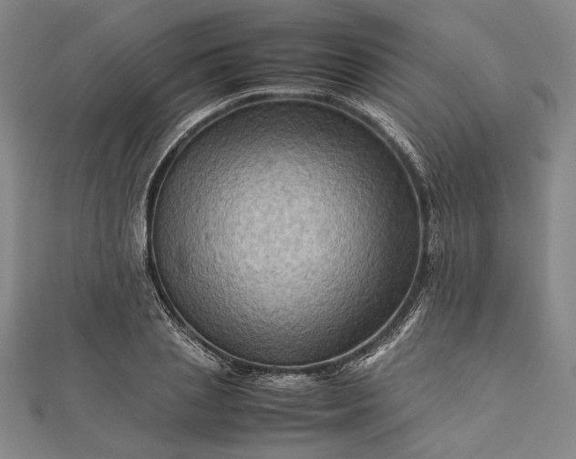 X0000112170837200908211424