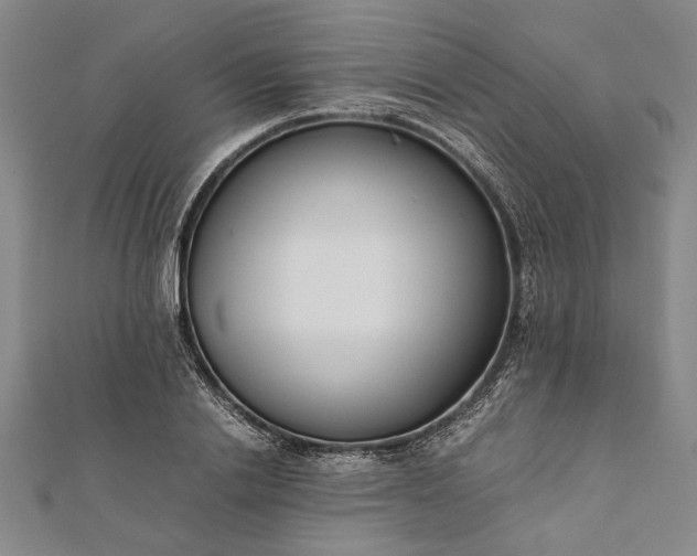 X0000112170838200908211424