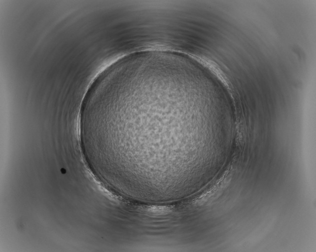 X0000112170839200908211424