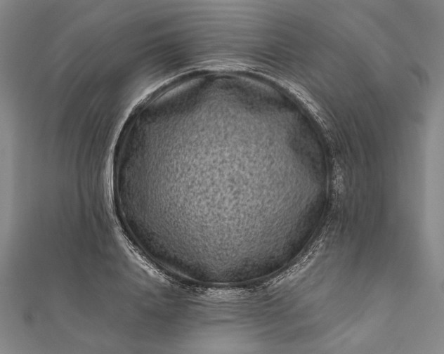 X0000112170840200908211424