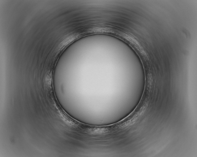 X0000112170841200908211424