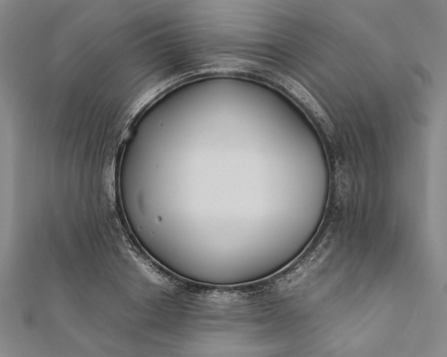 X0000112170842200908211424