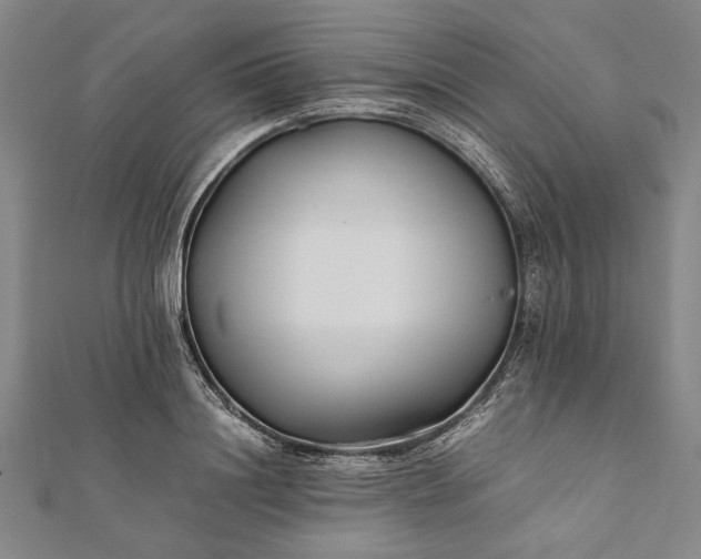 X0000112170844200908211424