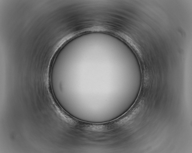 X0000112170845200908211424