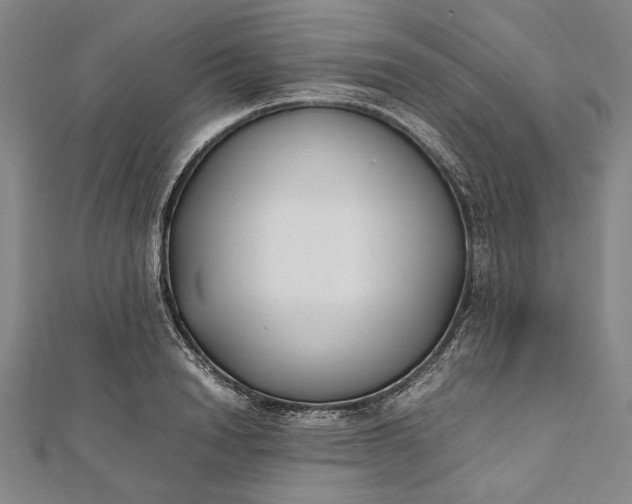 X0000112170846200908211424