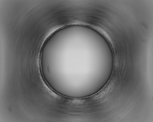 X0000112170847200908211424