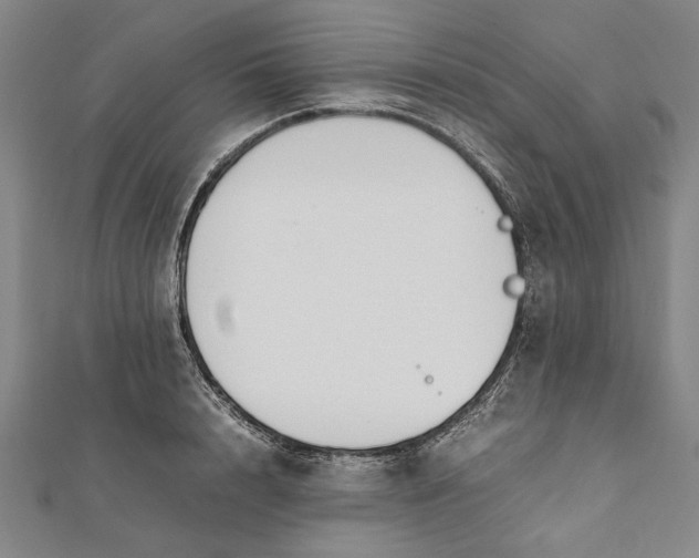 X0000112170848200908211424