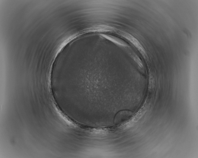 X0000112170850200908211424