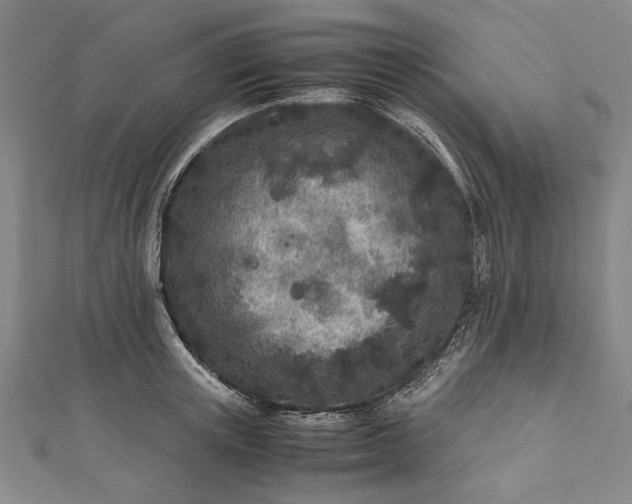 X0000112170851200908211424