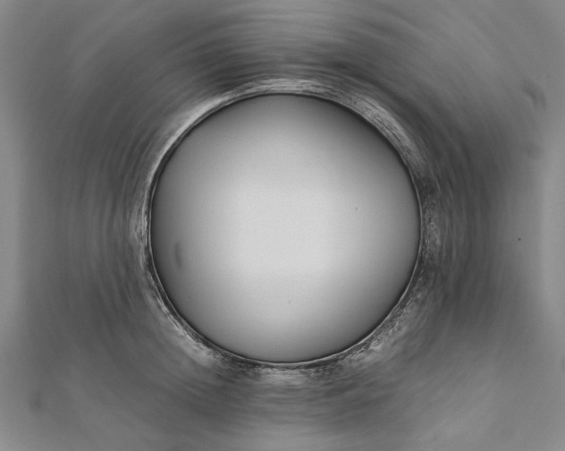 X0000112170852200908211424