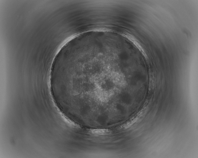 X0000112170853200908211424