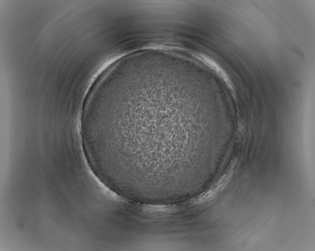 X0000112170855200908211424