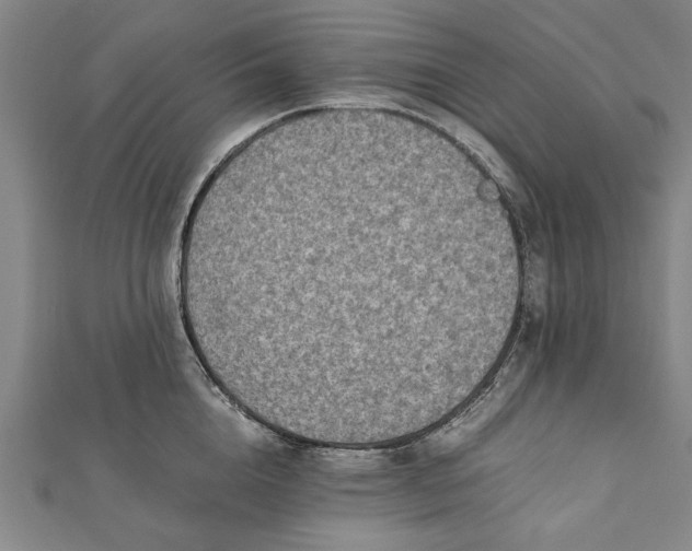 X0000112170856200908211424