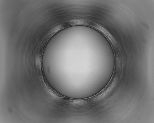 X0000112170857200908211424