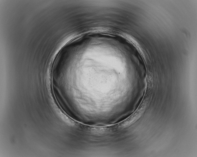 X0000112170859200908211425