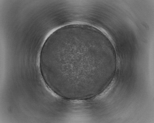 X0000112170862200908211425