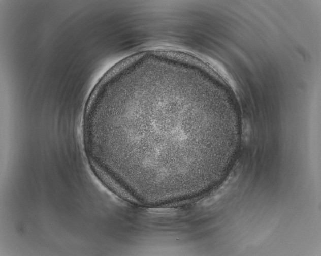 X0000112170863200908211425