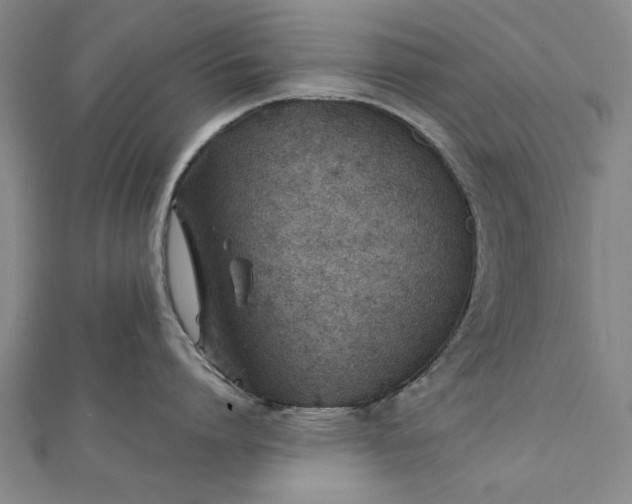 X0000112170864200908211425