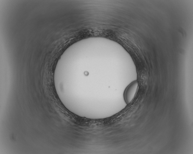 X0000112170865200908211424