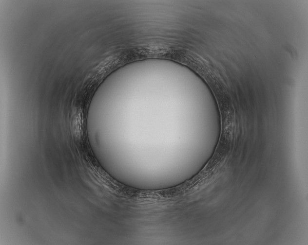 X0000112170866200908211424