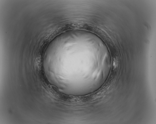 X0000112170867200908211424