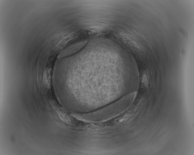 X0000112170868200908211424