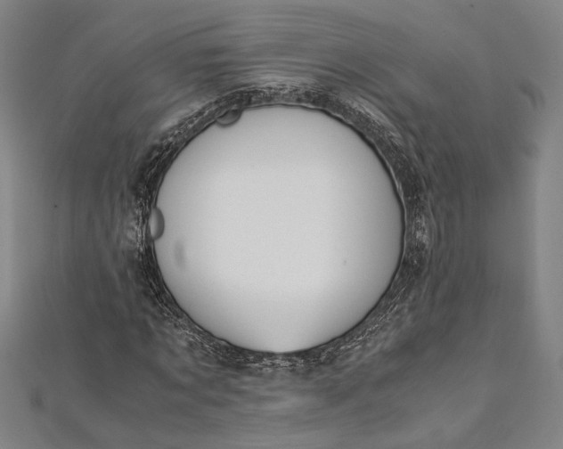 X0000112170869200908211424