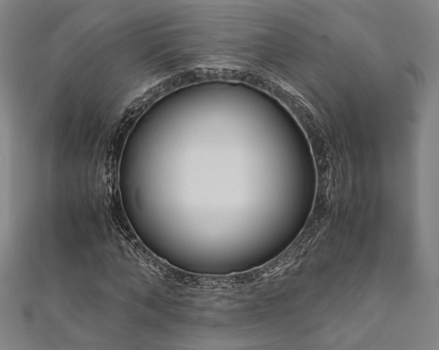 X0000112170870200908211424