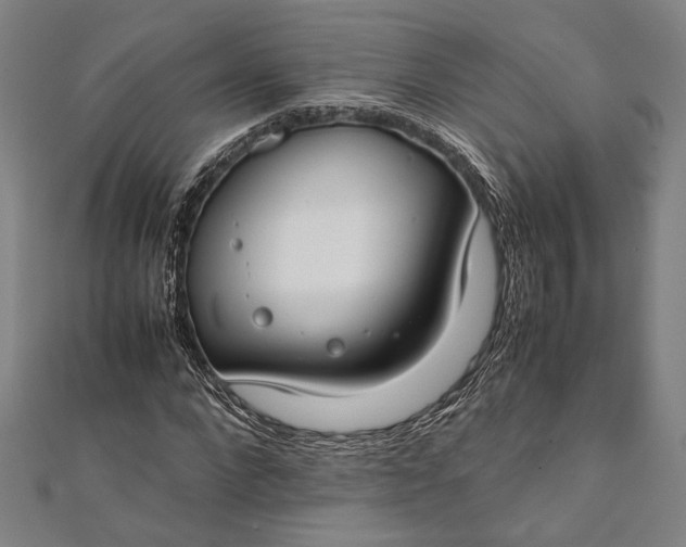 X0000112170872200908211424