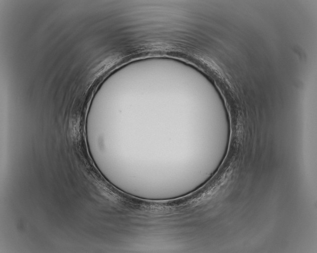 X0000112170873200908211424